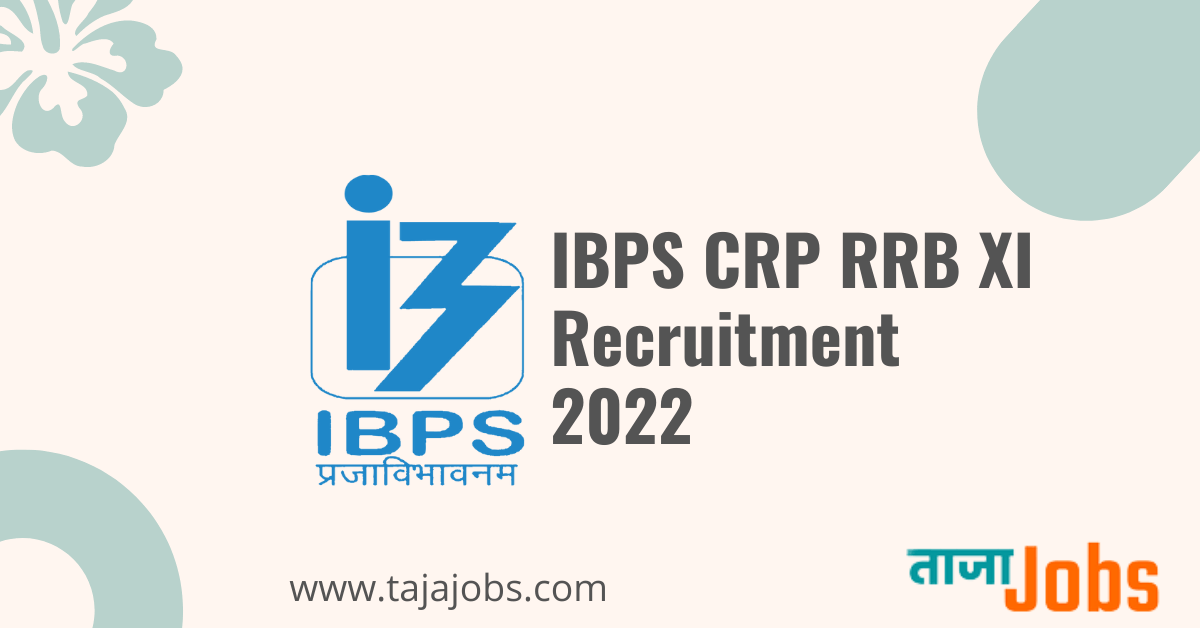 IBPS Recruitment 2022 CRP RRB XI